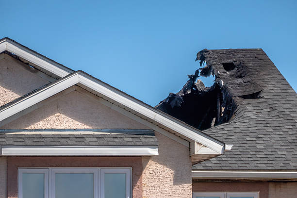 Licensed Odor Removal service in Carnation, WA - Fire Damage Biloxi